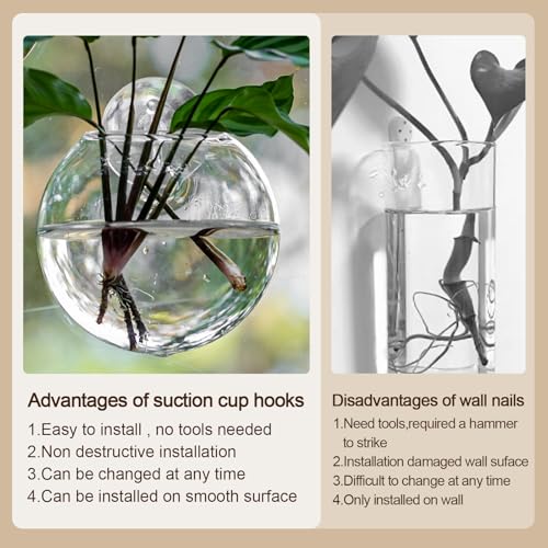 Window Propagation Stations, Oblate Glass Terrariums Planter with Suction Cup Hook, Wall Hanging Planters for Hydroponics Plants, Home, Office, Bathroom, Living Room Decor, Gift for Plant Lovers (2)