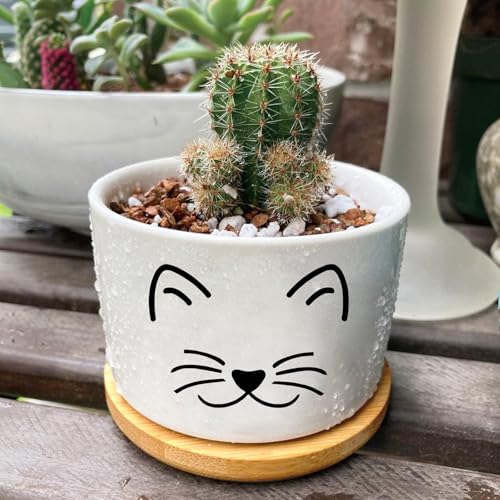 Cat Succulent Pots for Window Garden Cat Gifts for Women 3 Inch | Small Planters with Drainage and Bamboo Tray,Decor for Office Home,Windowsill,Cat Gifts for Women Mom (No Plants Included) - style: Cat Black