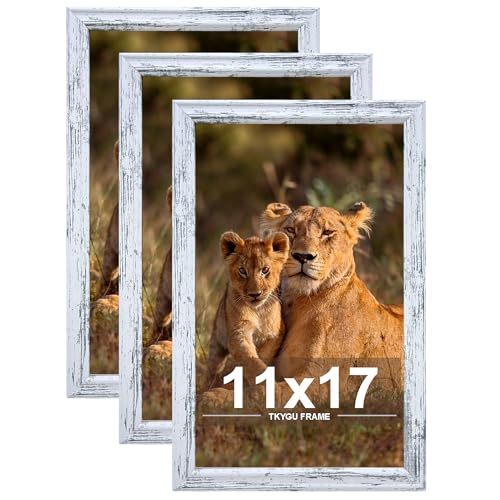 11x17 Picture frame set of 3,Woode frames Rustic White Wall Mounting Horizontally or Vertically, 11 by 17 Wall Gallery Poster Photo Frame with Shatter Resistant Plexiglass,best gift - color: Rustic White -3PCS, size: 11X17in
