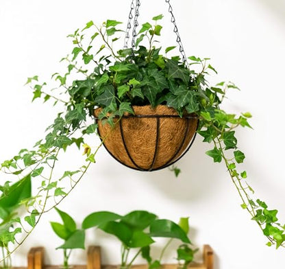 Kingbuy 12" Metal Hanging Basket for Herbs & Flowers – 6" Depth Rust-Resistant Wire with Coconut Liner & Adjustable Chains for Kitchen Window, Balcony & Garden - 2 Pack - size: 12 Inch, style: 2 Pack