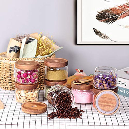 Tzerotone 8 Pcs Spice Containers - 8.5oz Glass Spice Jars With Acacia Airtight Lid and Labels - Stackable Empty Round Spice Bottles for kitchen Seasoning, coffee bean, tea, suger, herbs - color: clear