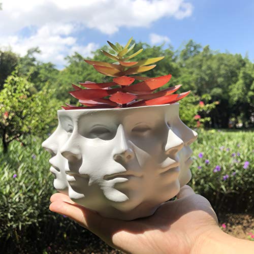 Resin Multi-Face Head Planter, Indoor Succulent Decor | Multi-face design, sturdy & durable. Succulent & cactus container, creative home accent, unique gift choice.