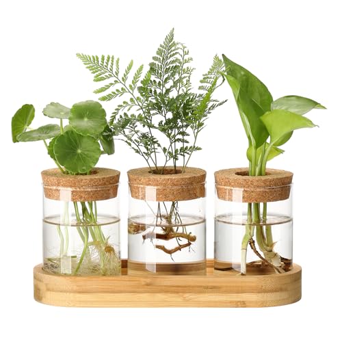 Plant Propagation Stations,3 Pcs Glass Vases with Wooden Stand &Lid | Fits Indoor Hydroponic Cuttings, Clear Planter for Root View, Cork Anti-evaporation, Water Propagation Jars, Home Table Decor - size: 8.7"L x 3.5"W x 4.7"H