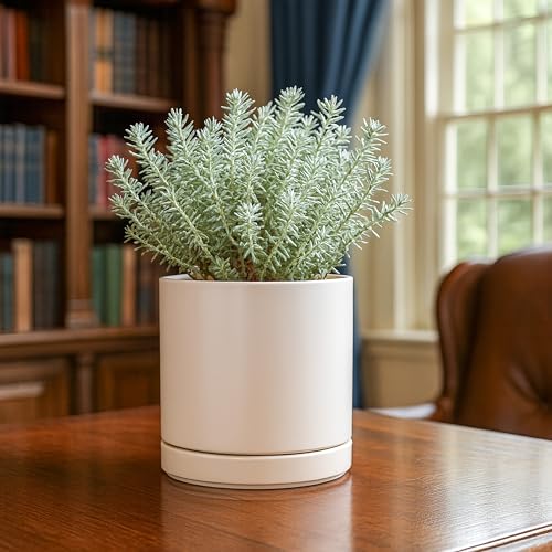 D'vine Dev 2-Pack Ceramic Pots with Saucers, Oatmeal, 6.5 in, 94-V-C-8 | Modern Cylinder Design, Glazed Ceramic, Drainage Hole & Saucer Included, High Temperature Fired, Elegant Home Accent - color: Oatmeal, size: 6 Inch
