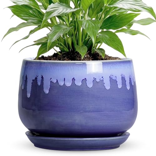 Ceramic Flower Pots - 7 Inch Indoor Planter with Drainage Hole and Saucer, Decorative Unique Flower Pot for Indoor Plants, Round Plant Pots, Office Patio Decor, Garden Gifts Women, Blue - size: 7 Inch, style: Blue