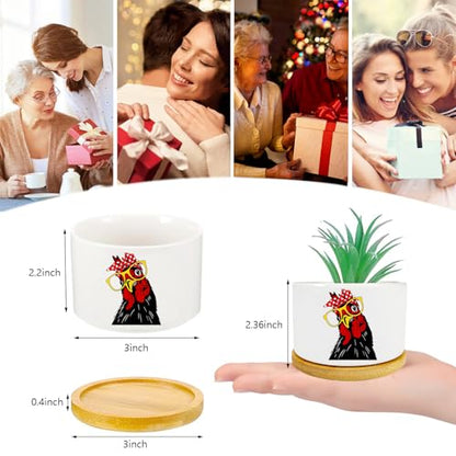 1Pcs Rooster Succulent Pots with Drainage and Bamboo Tray, Ceramic Pot | 3 Inch Small Planters for Plants,Cactus,Decoration for Office Home,Garden,Windowsill,Gifts for Women Mom (No Plants Included) - style: Rooster