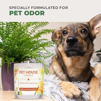 Pet House 9 oz Fresh Cut Grass Scented Candle, Clean Burning, Long Lasting Plant-Based Pet Odor Candle, 60 Hour Burn Time - 2 Pack - color: Fresh Cut Grass, size: Pack of 2