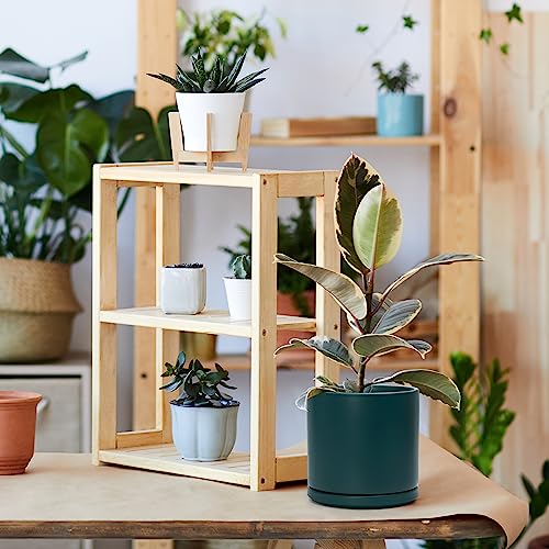 D'vine Dev 8 Inch Ceramic Planter Pot, Teal, 94-O-D-9 | Modern Cylinder Design, Drainage Hole & Saucer Included, Stable Structure, Elegant Home Accent - color: Teal, size: Medium