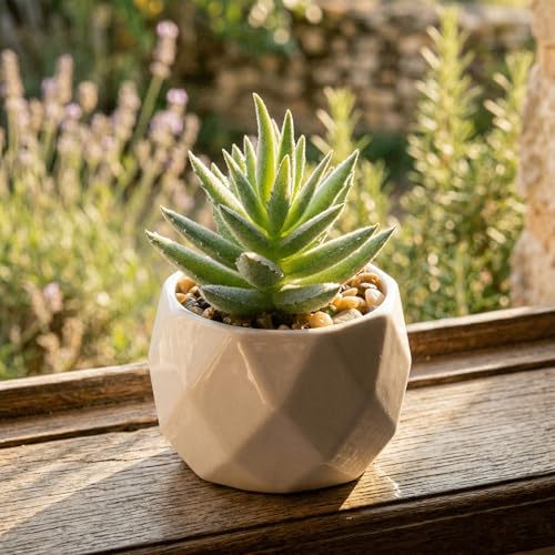 Mini Artificial Succulent Plants in Pot, Diamond Ceramic Decorative Plant for Home, Office Desk Succulent for Living Room, Bedroom, Green Purple - color: Green D