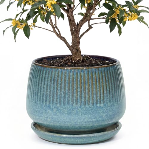 10.3 Inch Ceramic Planter with Saucer,Modern Garden Pots with Drainage Hole Mesh Net, for Indoor Outdoor Use(Crackle Blue) - color: Crackle Blue, size: 10.3 Inch