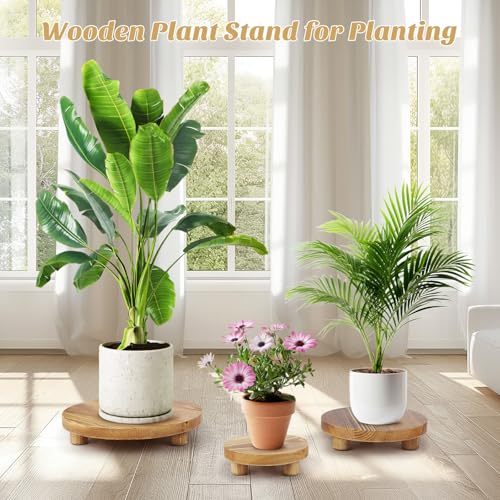 Wooden Plant Stands,Wood Risers Indoor Outdoor for Decor,Wooden Stool Display Stand for Home Table Bathroom Kitchen,Round Brown,3PCS