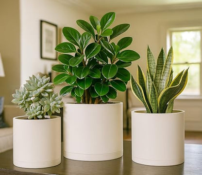 D'vine Dev 3-Pack Plastic Pots & Saucers, 6/6.5/8 in, Oatmeal, 74-V-H-3 | Multi-Size Options, Lightweight Durable, Matte Finish, Cylinder Shape, Drainage Holes, Sleek Design, Detachable Saucer - color: Oatmeal, size: Medium