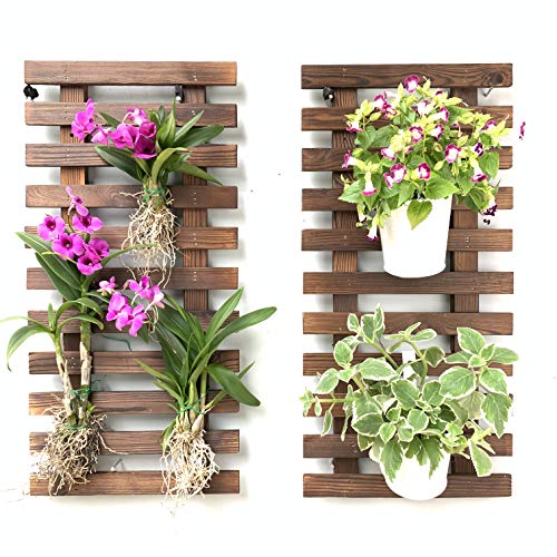 ShopLaLa Wall Planter (60cm, 2 Pack) Hanging Planters for Indoor Plants | Wall Mount Plant Stand Ladder Outdoor Vertical Garden Unique Live Orchid Planter Holder Display Large Wall Decor - size: 60cm (23.6") x 2