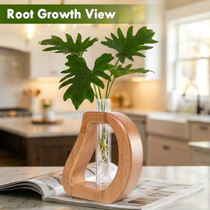 Glass Test Tube Plant Propagation Terrarium Station | Wall Hanging for Indoor Water Plant Rooting, Wall Home Decor, Thoughtful Gardening Gift for Mom and Plant-Loving Women - size: 5.3*5.6IN
