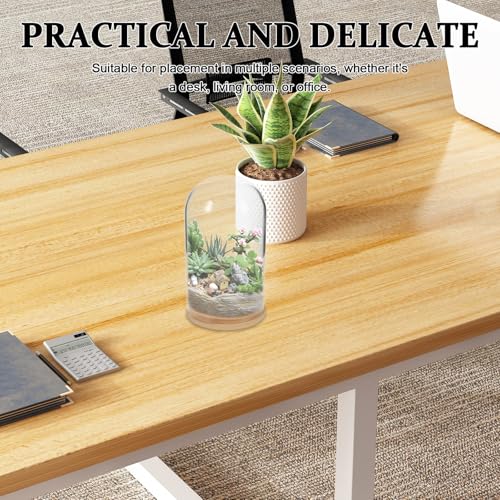 NUOBESTY Glass Cloche with Base Desk Terrarium for Office Hydroponic Vase for Propagation Clear Display Dome for Indoor Plants Tabletop Succulent Planter 4.72 X 2.75 X 2.75 in