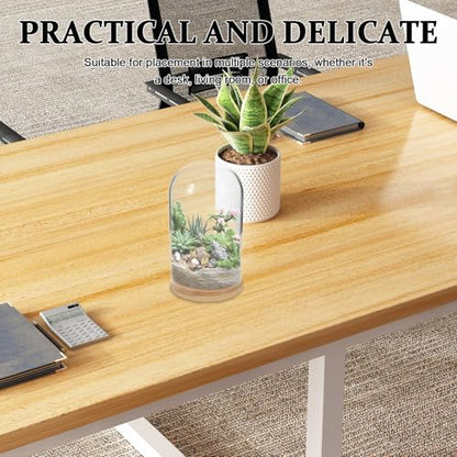 NUOBESTY Glass Cloche with Base Desk Terrarium for Office Hydroponic Vase for Propagation Clear Display Dome for Indoor Plants Tabletop Succulent Planter 4.72 X 2.75 X 2.75 in