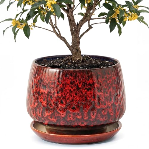 10.3 Inch Ceramic Planter with Saucer,Modern Garden Pots with Drainage Hole Mesh Net, for Indoor Outdoor Use (Speckle Red) - color: Peacock Red, size: 10.3 Inch