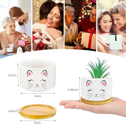 1Pcs Pink Cat Succulent Pots with Drainage and Bamboo Tray, Ceramic Pot | 3 Inch Small Planters for Plants,Cactus,Decoration for Office Home,Garden,Cat Gifts for Women Mom (No Plants Included) - style: Cat Pink