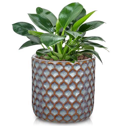 Oairse Small Ceramic Pots for Plants, 5.3 inch Blue Plant Pot Indoor with Drainage Ceramic Planters for Indoor Plants Succulent Planters Decorative Flower Pots for Cactus, Snake Plant, Herb - color: Grey Blue, size: 5.3in