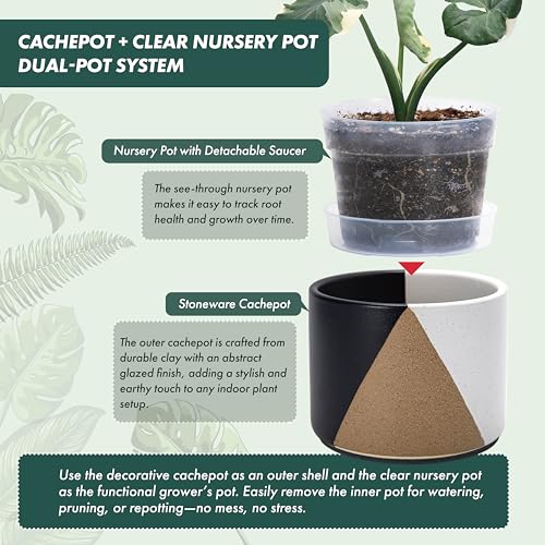 D'vine Dev 2-Pack Cachepot with Clear Pot, 6.5"low, Midnight Mesa, 93-V-D-2 | Dual-Pot System, Root Visibility, Bottom Watering Support, Enhanced Drainage, Artistic Stoneware Design, Easy Plant Care - color: Midnight Mesa, size: 6.5” Cachepot + 6“ Clear G