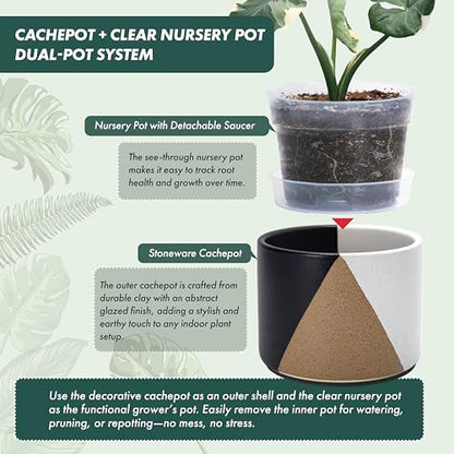 D'vine Dev 2-Pack Cachepot with Clear Pot, 6.5"low, Midnight Mesa, 93-V-D-2 | Dual-Pot System, Root Visibility, Bottom Watering Support, Enhanced Drainage, Artistic Stoneware Design, Easy Plant Care - color: Midnight Mesa, size: 6.5” Cachepot + 6“ Clear G