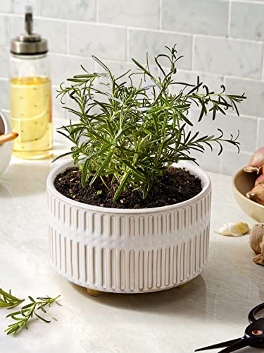 LE TAUCI Succulent Planters, 6.5+8 Inch Ceramic Indoor Plant Pot with Drainage Hole, Shallow Round Succulent Pots, Set of 2, Reactive Glaze White - color: Reactive Glaze White