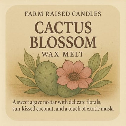 Resort Spa Soy Wax Melts, 5 Pack, 16 oz | 5 hotel & spa inspired scents • 16 oz total • 30 cubes • USA-grown soy wax