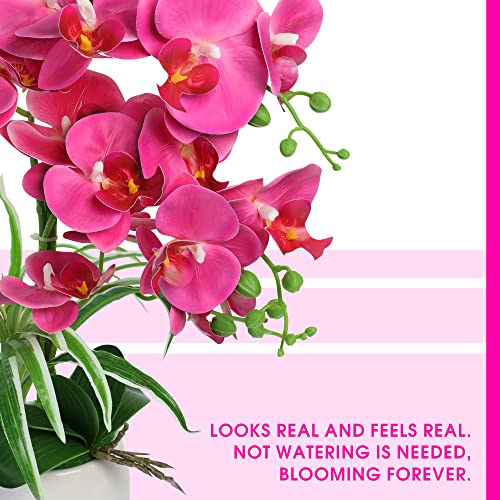 W&W Artificial Orchid Plants and Flowers with Vase, Fake Faux Orchid in Ceramic Pot,19”, Fuchsia - color: Fuchsia 01