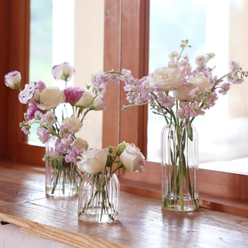 Bud Vases in Bulk Set of 6, Glass Small Vases for Flowers, Modern Cylinder Ribbed Vases for Wedding Centerpiece, Living Room Decorative, Home Decor