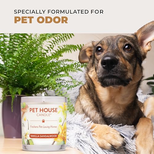 Pet House Candles, Clean Long-Burning, Scented Pet Friendly Candles, Plant-Based, 60 Hour Burn Time - Ocean Driftwood, 9 oz - color: Ocean Driftwood, size: Pack of 1