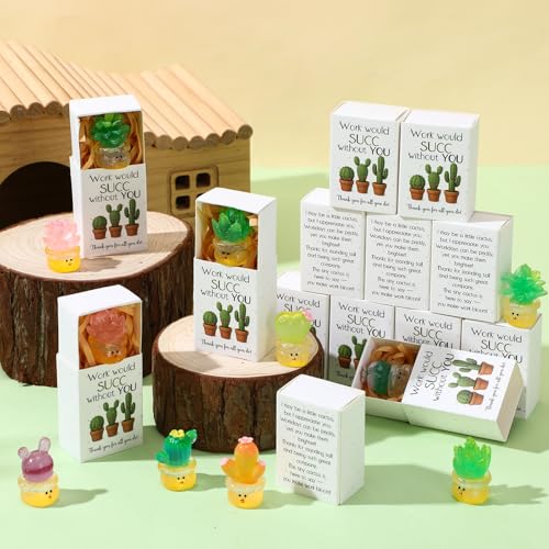 Jenaai 24 Sets Emotional Appreciation Gifts Bulk Mini Resin Cactus Cacti Work Would SUCC Without You Boxes Glow in the Dark Succulent Figurines for Coworkers Gift Employee Team Favors