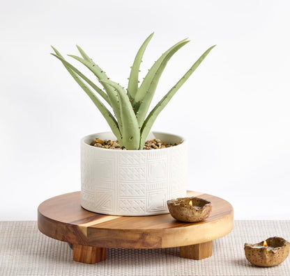 Kurrajong Farmhouse Artificial Plant in White Ceramic Pot | 10" high sage Green Faux Agave Plant | Fake Plant for Desk Decor | Artificial Agave for Home Decor | Artificial Succulent for Shelf Decor