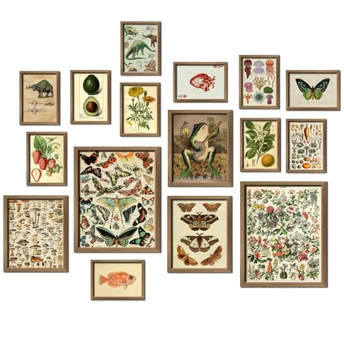 16 PCS Vintage Wall Art Decor, Botanical Cottagecore Wall Collage Kit for Bedroom, Farmhouse Posters for Room Aesthetic, Wall Prints Pictures for Living Room, Rustic Dorm Gallery Home Decor - color: Drab, size: 11"x14" Unframed