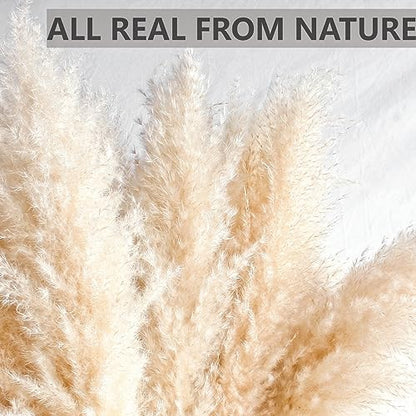 10 Stems 30" inch Dried Pampas Grass Decor Tall, Large Pompas Grass, Boho Neutral Home Decor Bouquet, Fluffy Pampass Grass for Floor Vase Wedding Floral Arrangements Wall Farmhouse Table Decor