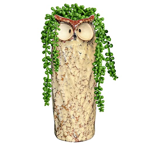 GeLive 9 Inch Owl Ceramic Vase, Farmhouse Flower Vase, Retro Owl Planter, String Pearl Succulent Pot for Bud Cutting Hydroponic Plant, Indoor Outdoor Home Decor, Cute Owl Fun Animal Cartoon Gift - size: 9" Tall