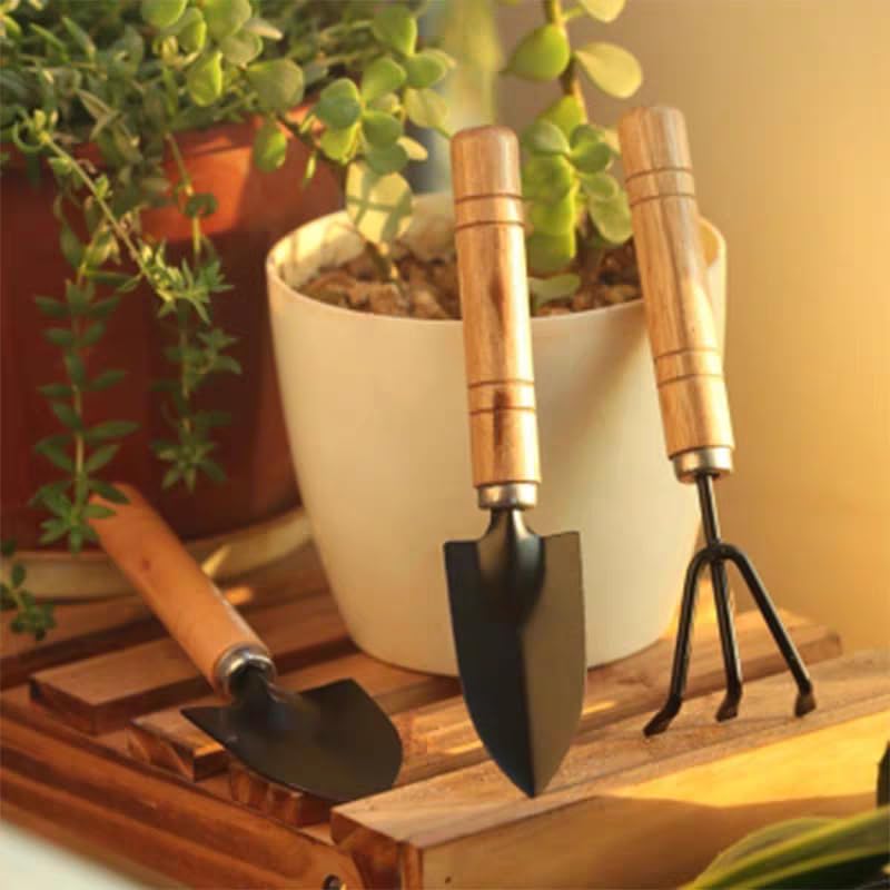 Mini Gardening Tool Set - 3PCS Hand Shovel, Rake, Spade with Wooden Handle - Small Planting Weeding Kit for Indoor Succulents, Cactus, Herbs, DIY Terrarium - Cute Garden Tools for Kids & Adults