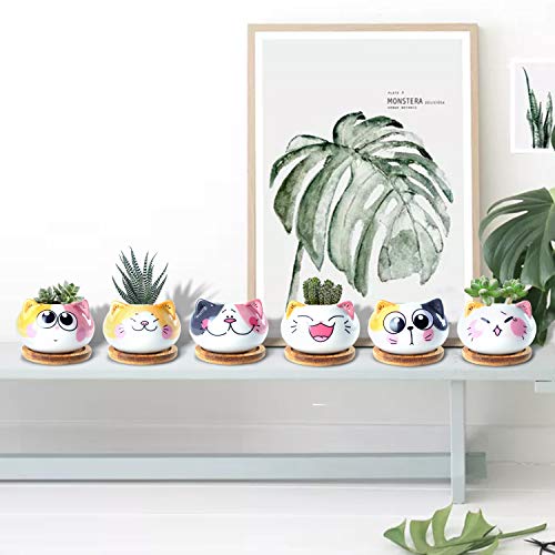 3.6Inch Cat Pot for Plant, Cat Planter Succulent Pot with Drainage Set of 6 | Tiny Animal Planter, Small Ceramic Air Plant Cat Flower Pots, Cactus Planters Containers with Bamboo Tray - color: Sitting Cats 6pcs