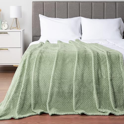 PAVILIA Fleece Throw Blanket for Couch Sofa Bed, Sage Green 60x80 Twin | 280 GSM Soft Fuzzy Waffle Textured Jacquard Microfiber, Warm Lightweight Fade-Resistant Decorative Decor, All Season Gift - color: Sage Green, size: 60 X 80 Inches - Twin