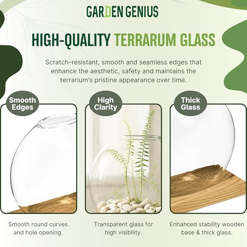 Single Glass Propagation Station with Wooden Base – Hydroponic Plant Terrarium for Home & Office | Ideal Christmas, New Year & Birthday Gift for Plant Lovers, Moms | Desktop Windowsill Planter Vase - size: Brown (Round Vase)