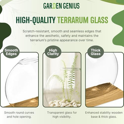 Single Glass Propagation Station with Wooden Base – Hydroponic Plant Terrarium for Home & Office | Ideal Christmas, New Year & Birthday Gift for Plant Lovers, Moms | Desktop Windowsill Planter Vase - size: Brown (Round Vase)