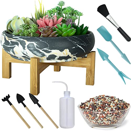 ARTKETTY Succulent Pots, 10 Inch Large Bonsai Pots with Drainage Stand | Shallow Planters for Cactus Flower Plants Plus Succulent Planting Tools Set & 2.2lb Mix Pebbles - color: Black With Tools