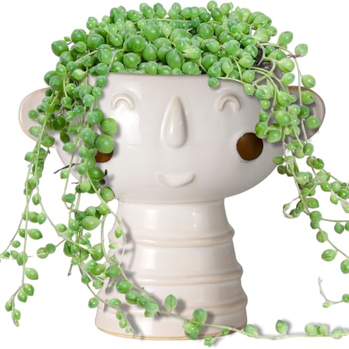 Head Planter for Indoor Plants - 7 Inch Ceramic Face Planter, Cute Succulent Pot with Drainage Hole, Indoor Outdoor Flower Plant Pot, Home Garden Decor, Gift for Plant Lovers, White - color: Off White-boy