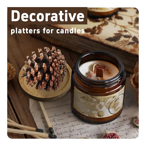 6Pcs 2.5” Bamboo Plant Saucer, Round Pot Tray for Indoor Planters, Succulent Holder Drainage Tray, Versatile Coaster Set for Home Office Decor - size: 2.5”