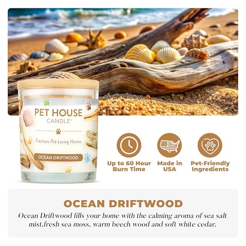 Pet House Candles, Clean Long-Burning, Scented Pet Friendly Candles, Plant-Based, 60 Hour Burn Time - Ocean Driftwood, 9 oz - color: Ocean Driftwood, size: Pack of 1