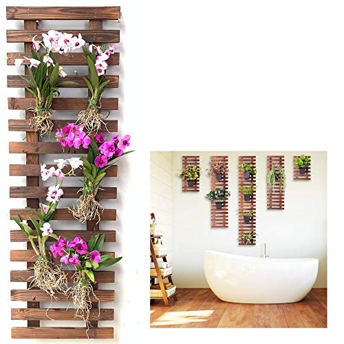 ShopLaLa Wall Planter - Wooden Hanging Planter for Indoor Plants, Plant Stand, Air Plant Succulent Holder, Vertical Garden. Large Wall Decor for Living Room, Room Decor for Teens, 90cm (35.4") | Air Plant Succulent Holder, Plant Stand, Vertical Garden Lar