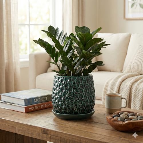 Aspen & Fig 6 Inch Green Indoor Ceramic Plant Pot with an Attached Saucer and Drainage Hole for House Plants, Herbs, Flowers, Succulent Plants, Snake Plants, Gifts for Mom