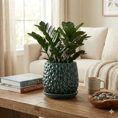 Aspen & Fig 6 Inch Green Indoor Ceramic Plant Pot with an Attached Saucer and Drainage Hole for House Plants, Herbs, Flowers, Succulent Plants, Snake Plants, Gifts for Mom