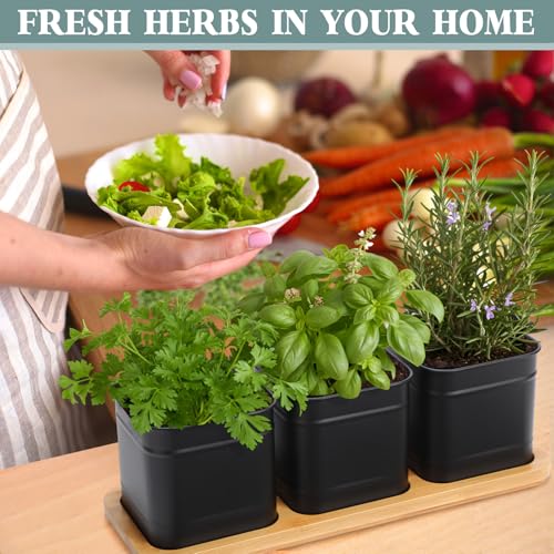 LemonRoad 6 Pcs Indoor Herb Planter Window Herb Pots for Kitchen with Drainage Hole and Bamboo Tray Farmhouse Metal Garden Planter Pot with DIY Label Mom Plant Gift(Black,Square) - color: Black