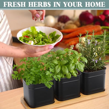 LemonRoad 6 Pcs Indoor Herb Planter Window Herb Pots for Kitchen with Drainage Hole and Bamboo Tray Farmhouse Metal Garden Planter Pot with DIY Label Mom Plant Gift(Black,Square) - color: Black