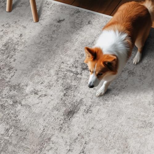 2x10 Grey Abstract Washable Rug:Non Slip Hallway Runner Rug | Soft Stain Resistant Thin Carpet, Low Pile Easy to Maintain, Perfect for Kitchen, Entryway, Bedroom and Homes with Pets - color: Grey01, size: 2' x 10' (Rectangular)